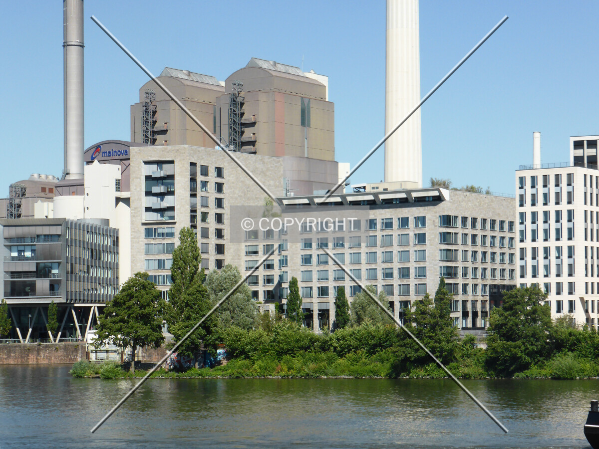 Photo 147-346-281