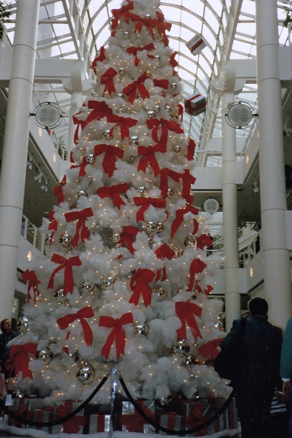 Photo 147-931-789