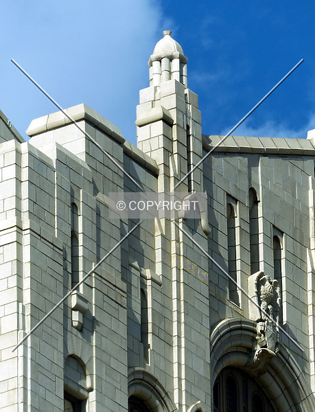 Photo 147-953-578