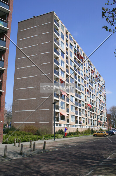 Photo 148-254-442