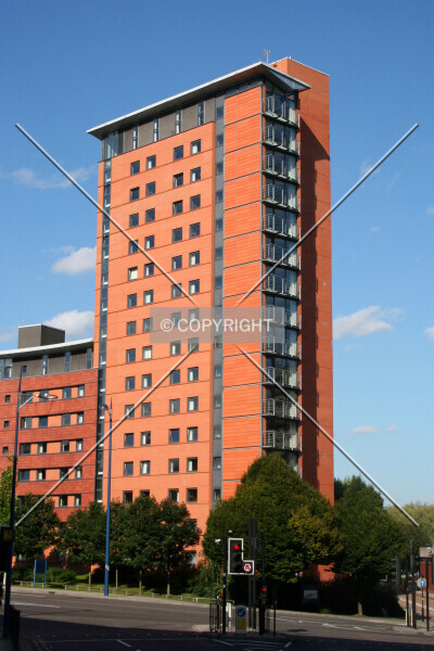 Photo 148-297-620