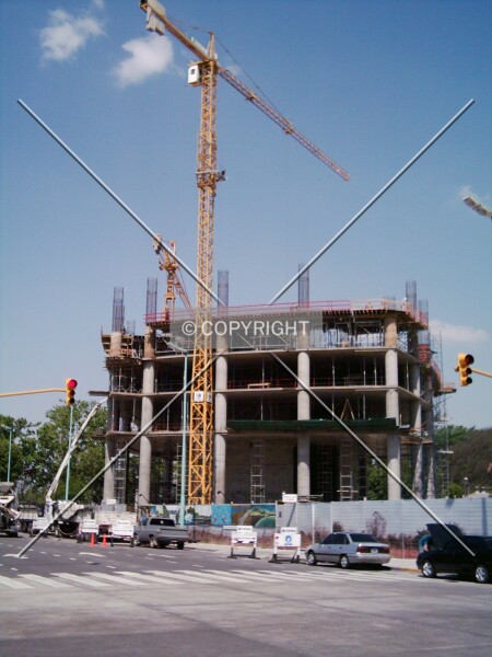 Photo 148-916-019