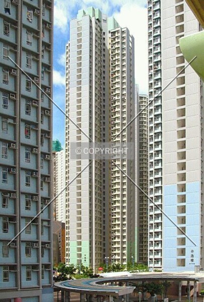 Photo 059-200-580