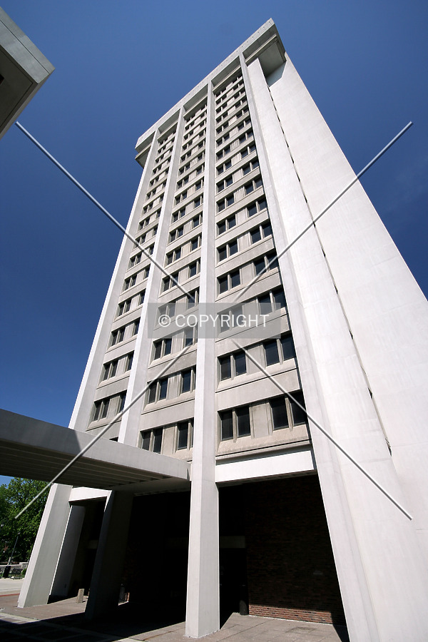 Photo 149-351-532