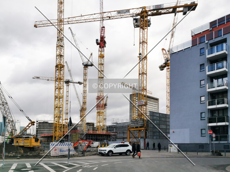 Photo 149-353-624