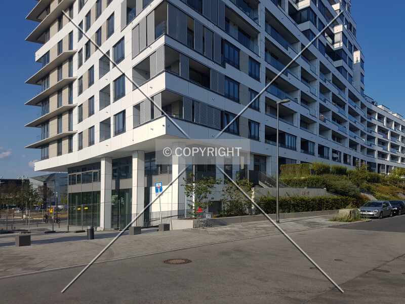 Photo 150-697-982
