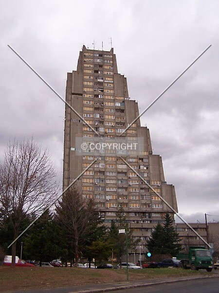 Photo 155-287-488