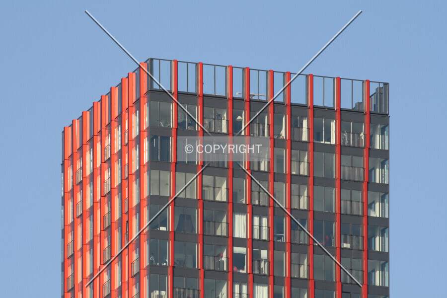 Photo 155-287-518