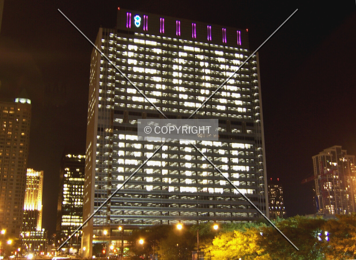Display of pride for the Chicago White Sox while the baseball team was in the playoffs