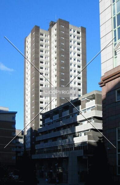 Photo 155-432-349