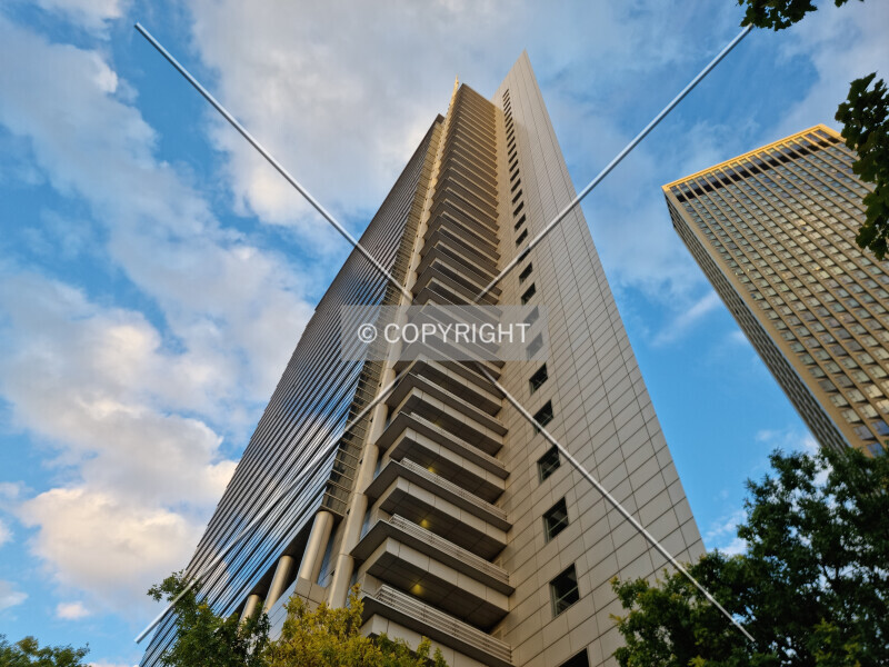 Photo 156-167-893