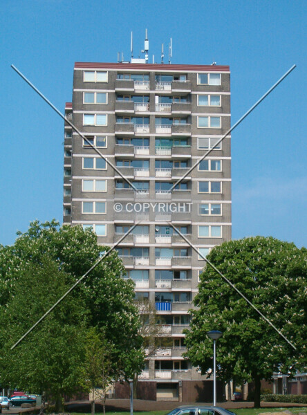 Photo 157-451-242