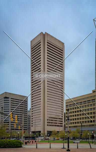Photo 158-377-471