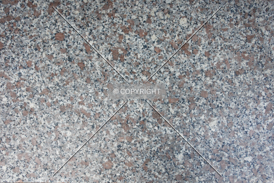 Photo 158-955-564