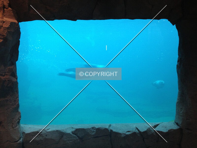 Photo 159-756-549