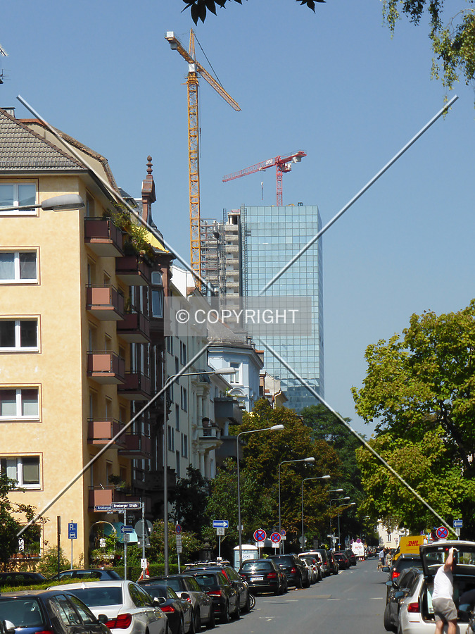 Photo 160-409-538