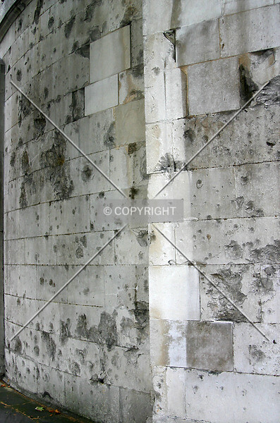 Photo 160-641-465