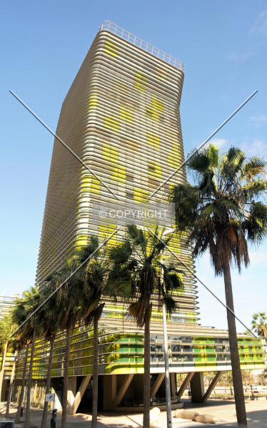Torre Woermann