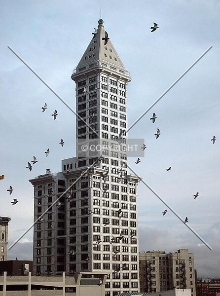 Photo 160-871-217