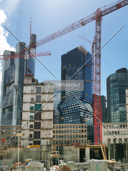 Photo 161-635-123