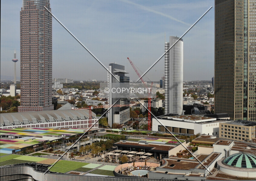 Photo 162-318-181