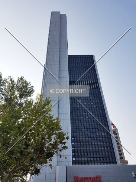 Photo 163-277-613