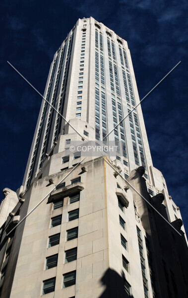 Photo 163-480-295