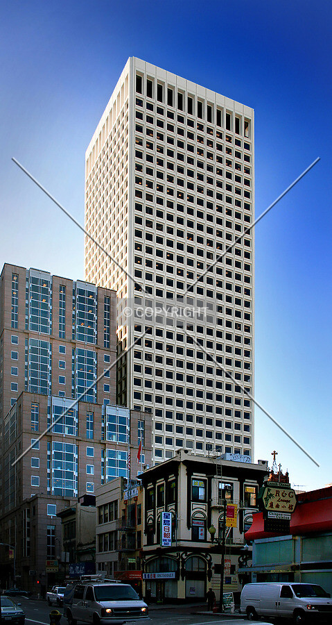View from the north