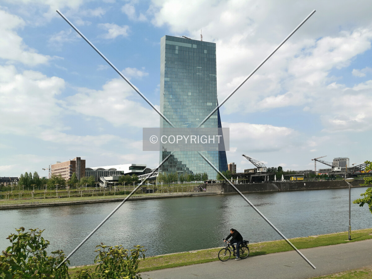 Photo 164-872-264