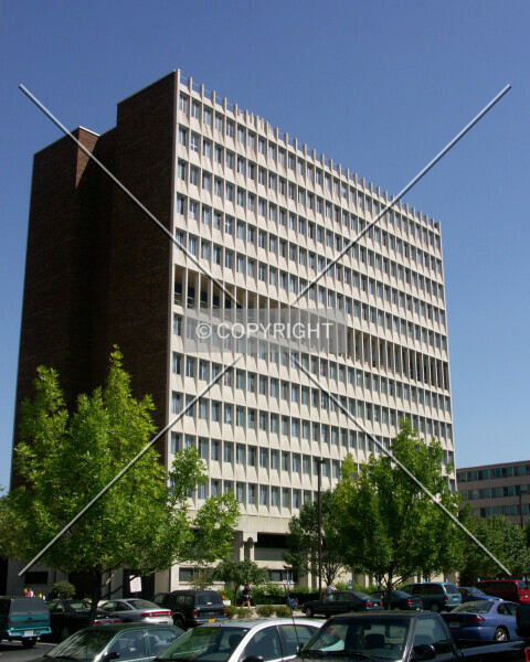 Photo 167-646-399