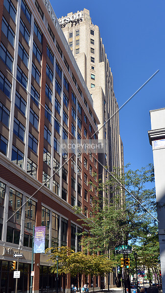 Photo 167-770-226