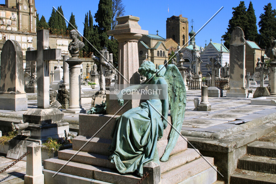 Photo 168-597-108