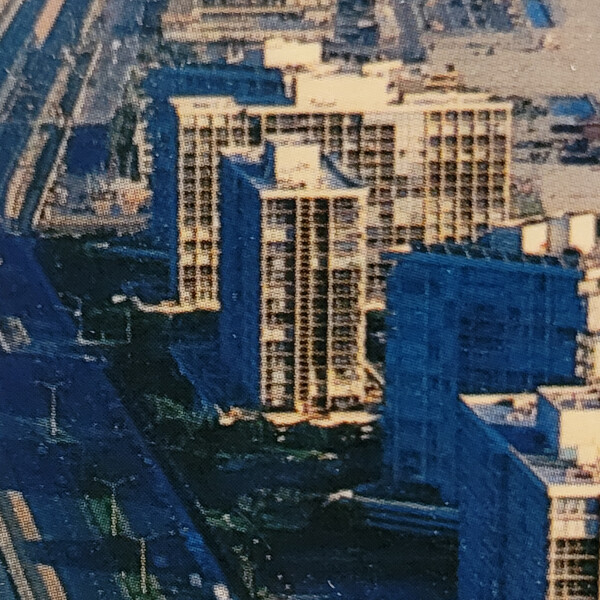 Las Flores Tower