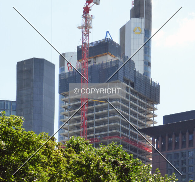 Photo 169-181-547