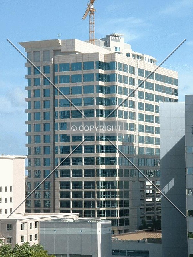 View from the northwest
