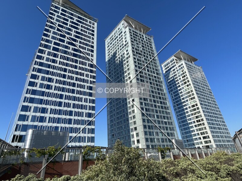 Photo 170-711-260