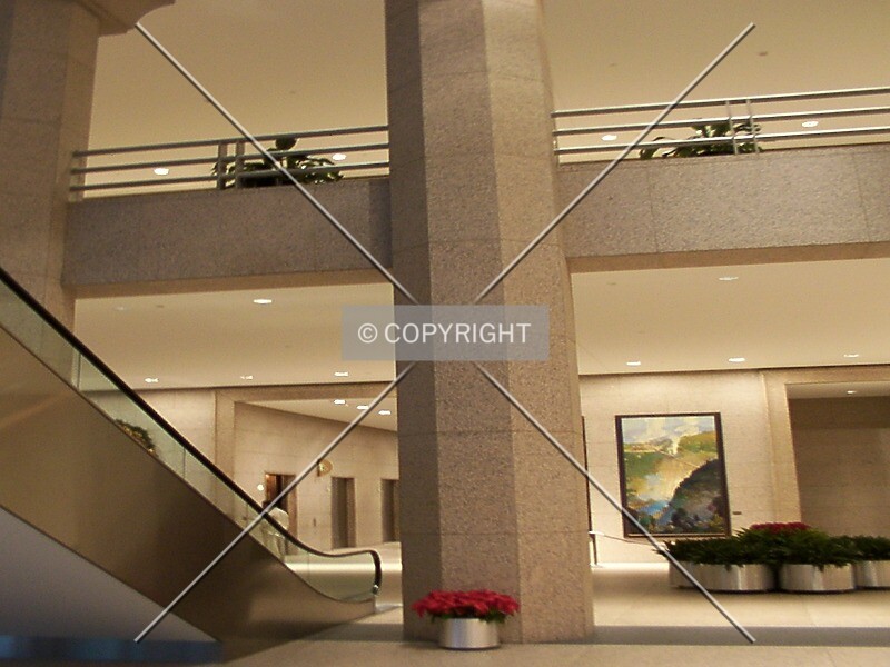 Photo 171-219-361