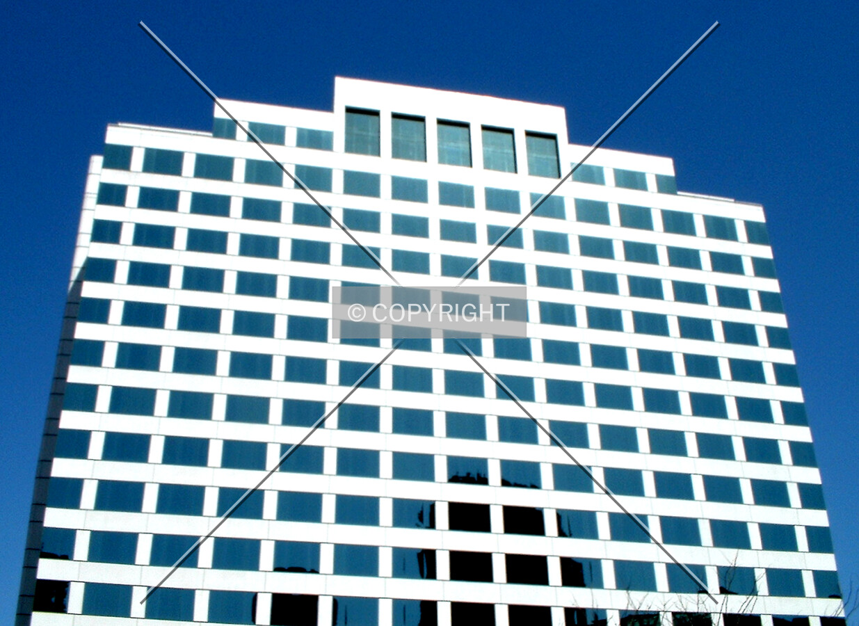 View from the southeast
