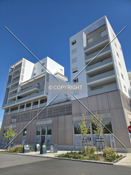 Photo 172-392-690