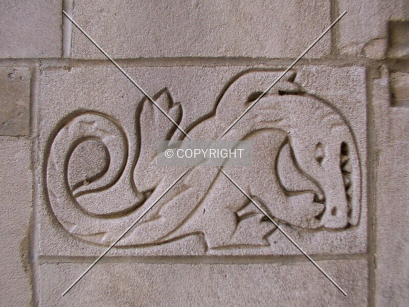 Photo 172-925-704