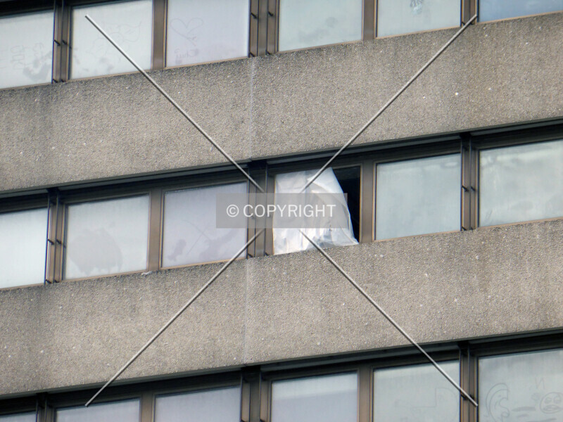 Photo 173-459-357