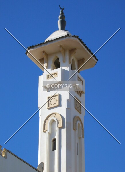 Photo 173-818-783