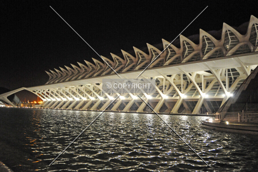 Photo 174-039-843