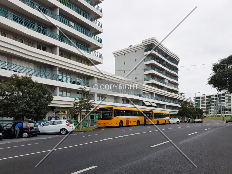 Photo 174-422-544
