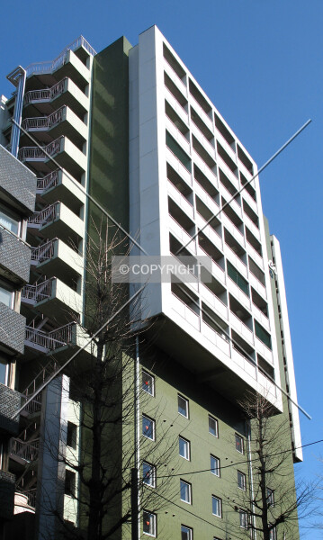 Photo 175-319-875