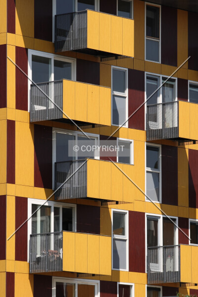 Photo 175-994-309