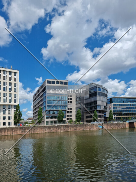 Photo 177-232-295