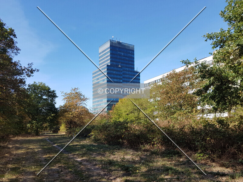 Photo 177-651-412