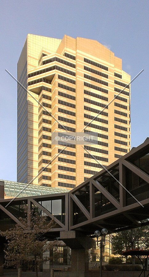 View from the southeast