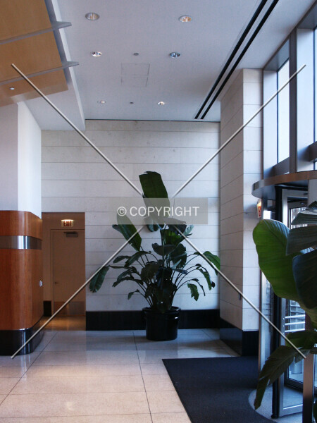 Photo 181-599-257
